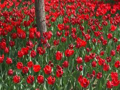 -长春公园(普阳街道)