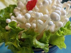 -慢丽江·云南野生菌土鸡锅(付家庄店)