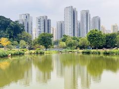 -牛岗山公园
