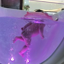 -丽复产后康复萧山旗舰中心