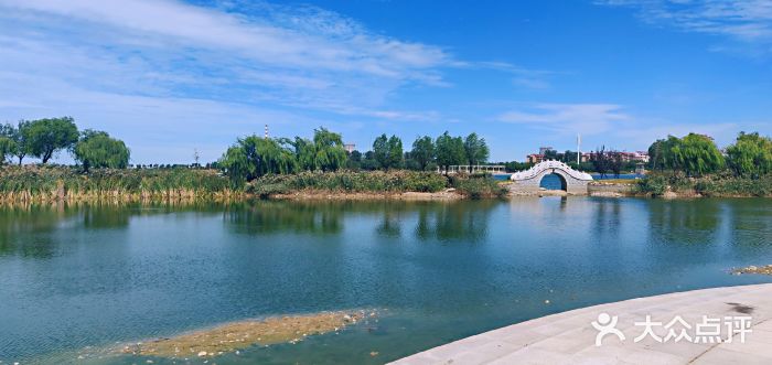 莱州市河套湿地公园图片