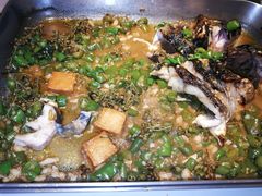 -鱼酷活鱼烤鱼(中联广场店)