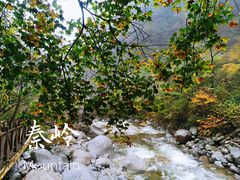 -青峰峡国家森林公园