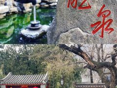 -八大处公园