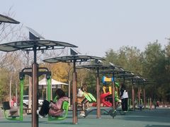 -大港湿地公园