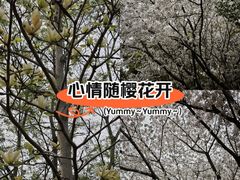 -杨高南路(地铁站)