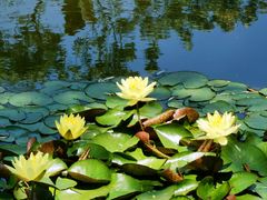 -国家植物园南园