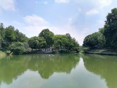 -太子山公园(园东路)