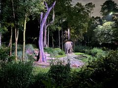 -夜间野生动物园