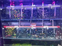 -三旗百汇商品城