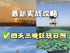 -渡海小渔村.老辈日照菜