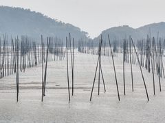 -花竹村