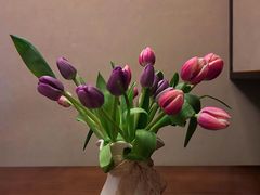 -川匠·睡眠采耳·SPA(九眼桥店)