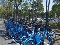 -春花秋色城市公园