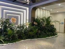 点击看大图 -LIHER北京丽合医疗美容医院