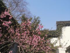 -南京市民俗博物馆(甘熙故居)