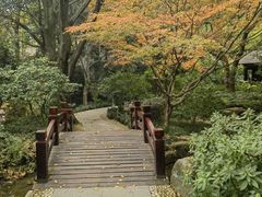 -中国茶叶博物馆(双峰馆区)