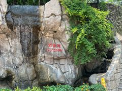 -九龙公园
