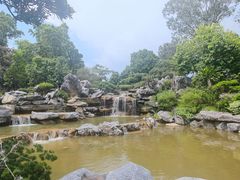 -东莞植物园