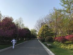 -青枫公园
