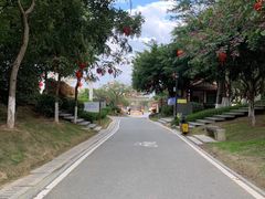 入口处-八仙山公园