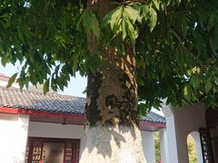 -徐悲鸿故居
