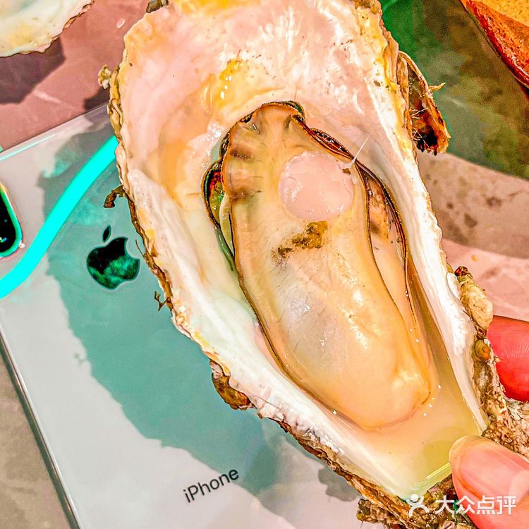 巴掌🤲大肥蚝真的好好吃‼️后悔才知道