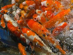 -太平洋海底世界