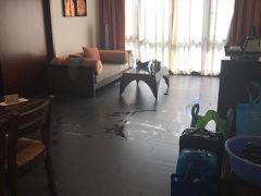 -三亚湾红树林度假世界(木棉酒店)