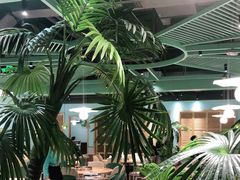 -春润大地海南椰子鸡(沙井京基百纳广场店)