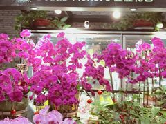 -豆豆花艺(新光天地店)
