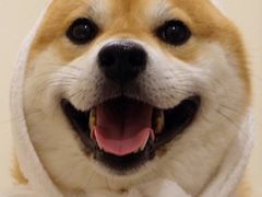 -阿水大杯茶(青岛大学店)