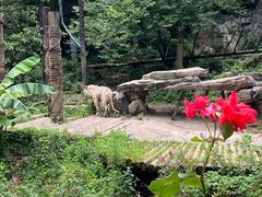-贵州森林野生动物园