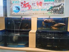 水产区-屯老二农家铁锅炖·行业领军者(梅江店)