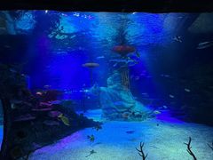 -沈阳海洋探索中心