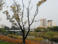 -西海子公园