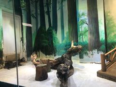 -华夏文旅西安度假区