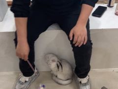 -共舞时光猫咖·狗咖(新街口店)