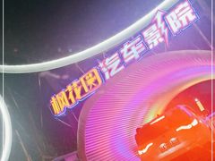 -枫花园汽车电影院(朝阳公园店)
