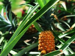 -南通洲际绿博园