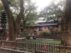 -普陀山风景名胜区-法雨禅寺