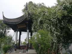 -鹅湖玫瑰文化园