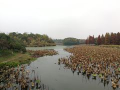 -艾溪湖湿地公园