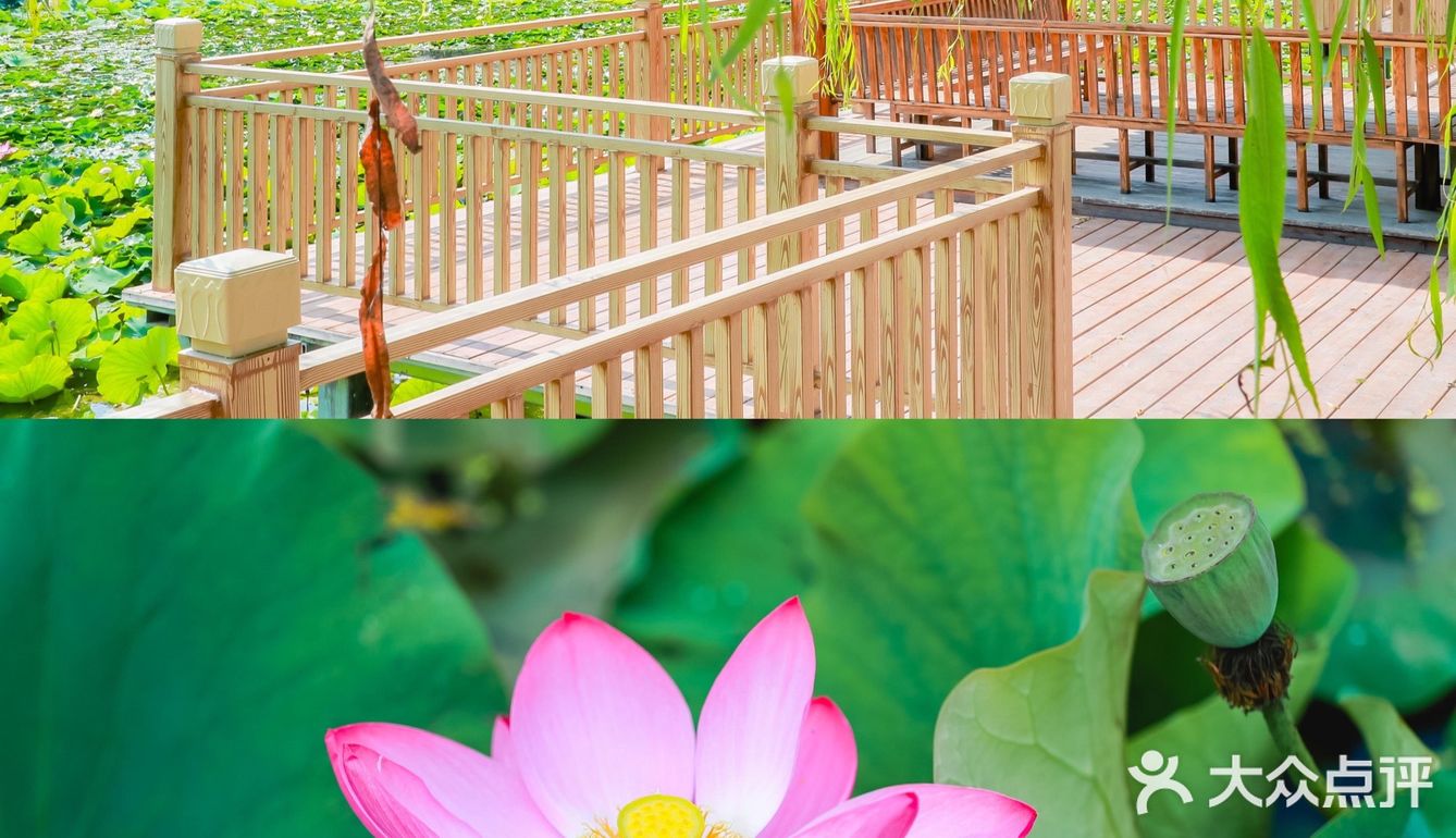 延庆里炮村｜北京秋日的周末乡村游