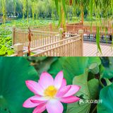 延庆里炮村｜北京秋日的周末乡村游