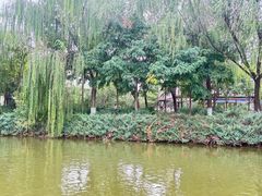 -南翠屏公园