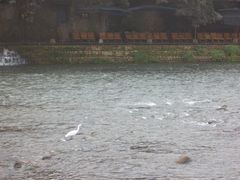 psu&nbsp;(13)-平乐古镇