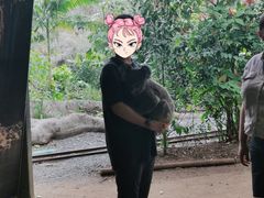 -可伦宾野生动物保护区
