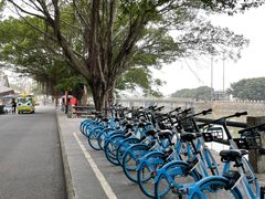 -大湾区中央湿地公园