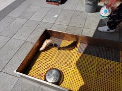 -京北渔家傲